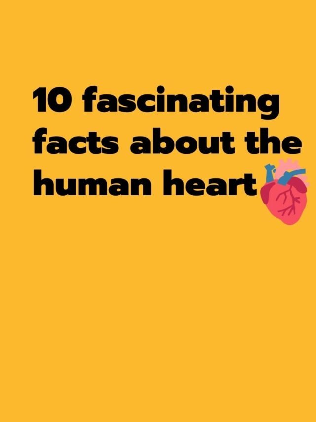 cropped-10-fascinating-facts-about-the-human-heart.jpg